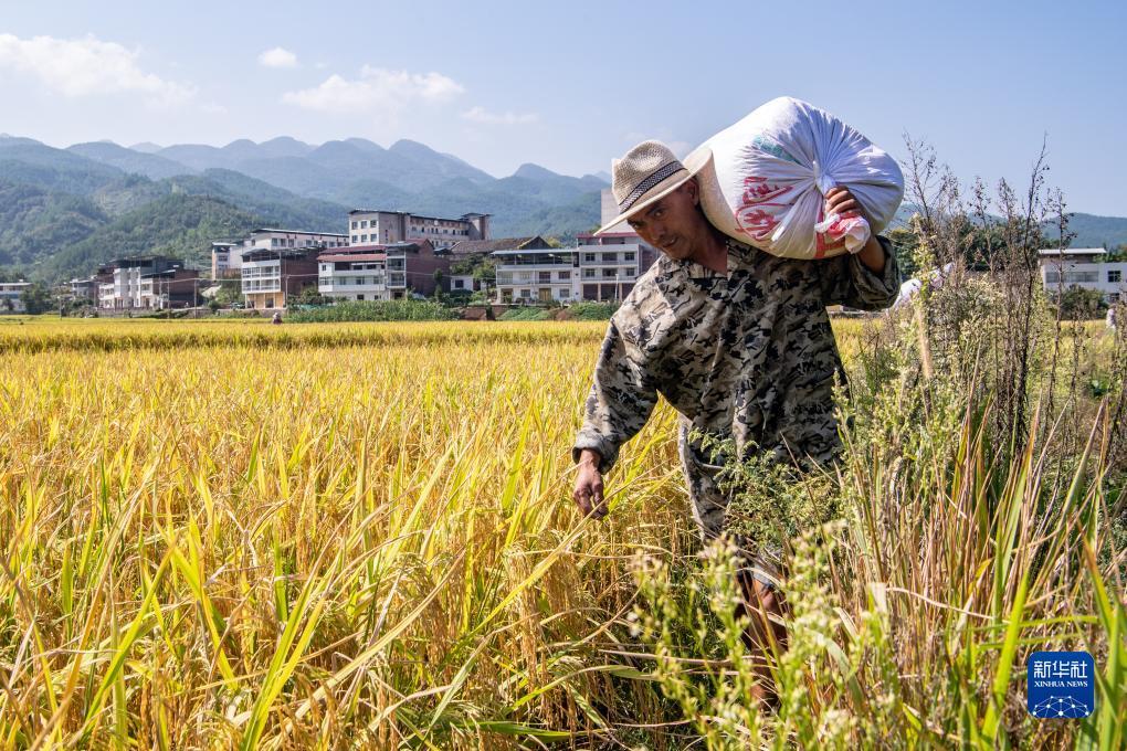 超级大满贯苹果手机版